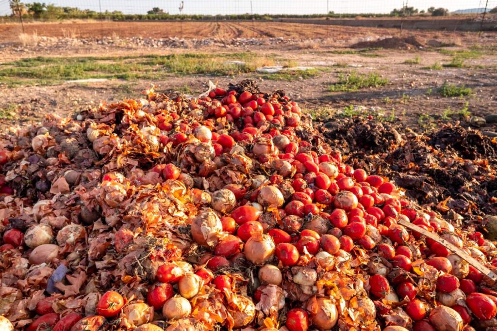 food waste and Vegetables thrown into a landfill, rotting outdoors.